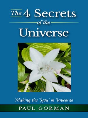 cover image of The 4 Secrets of the Universe
